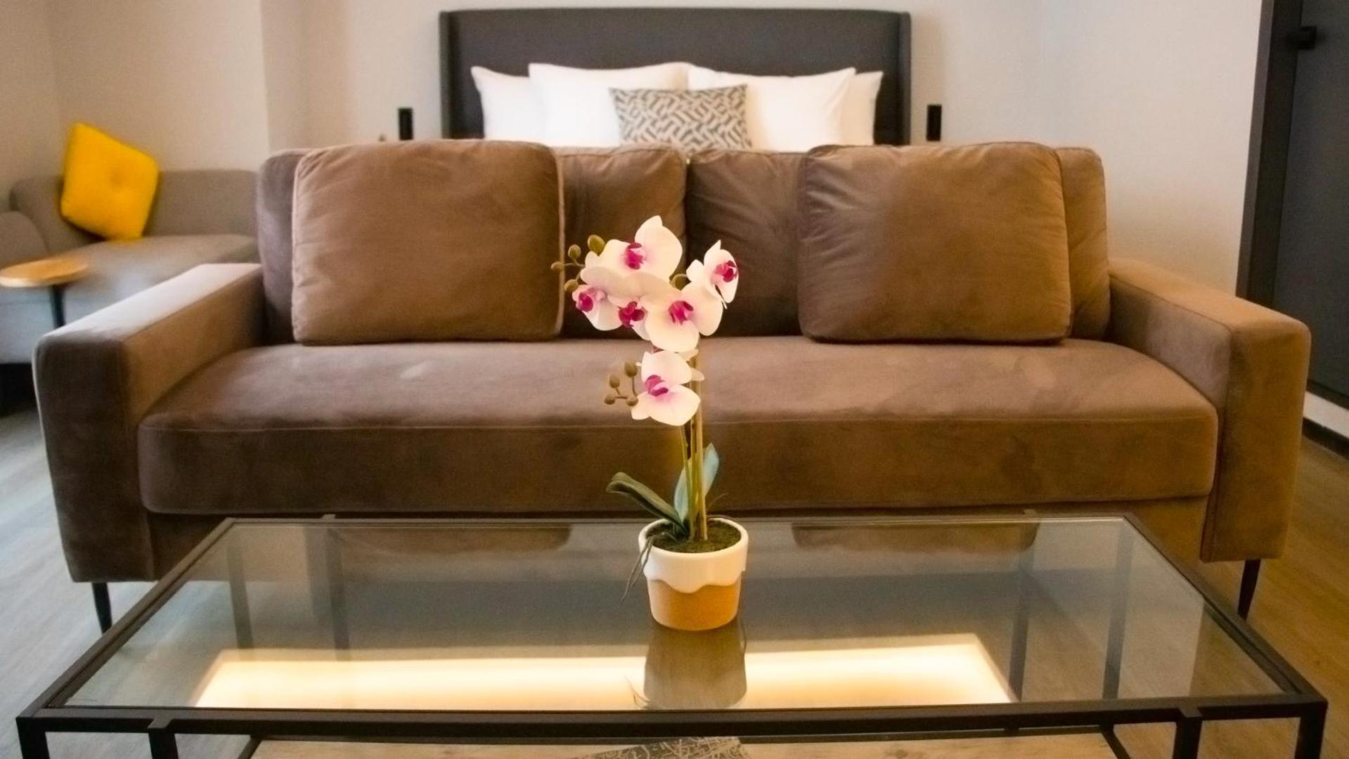 מקסיקו סיטי St Isidro Suites Corporate Housing Spa & Wellness Center מראה חיצוני תמונה