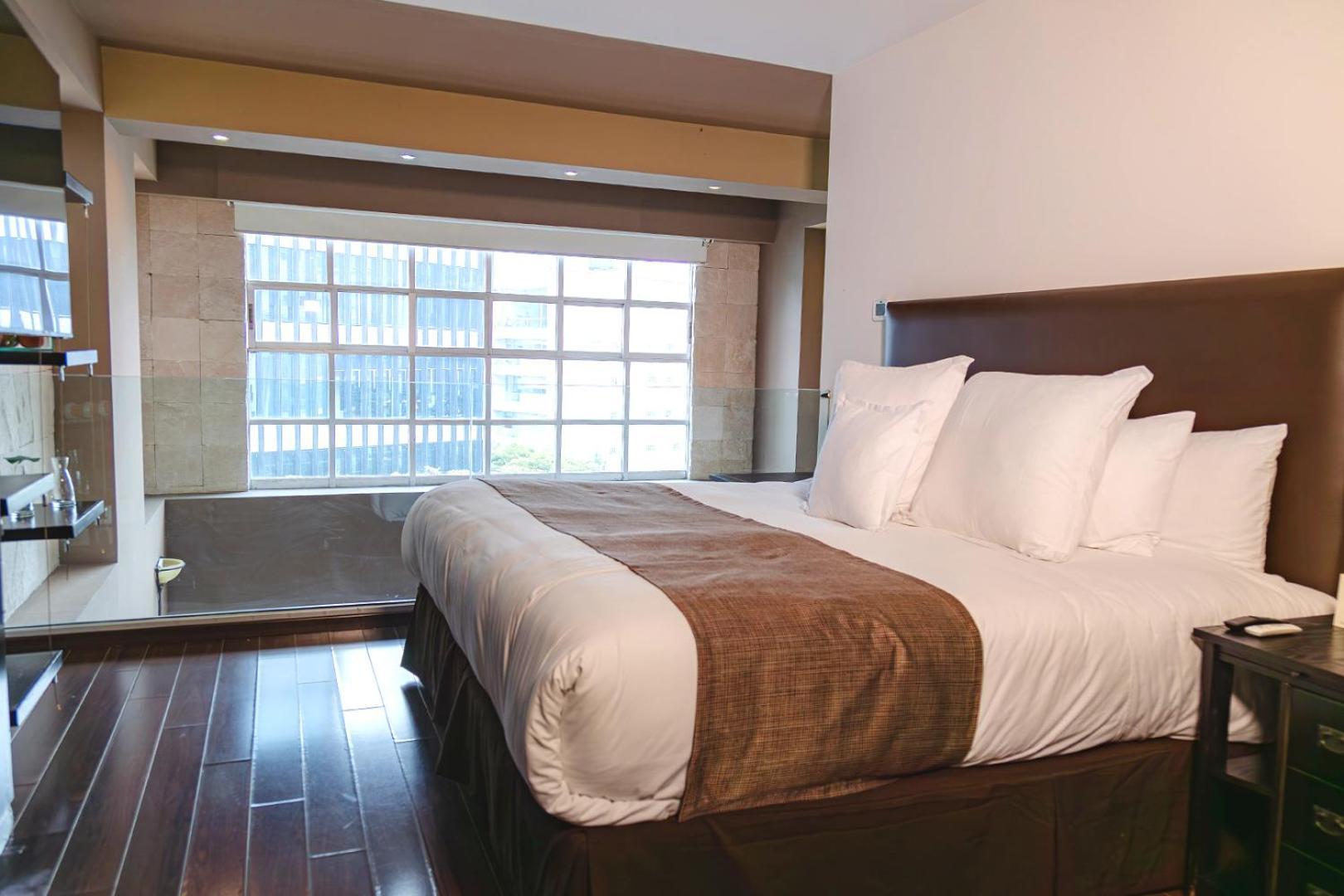 מקסיקו סיטי St Isidro Suites Corporate Housing Spa & Wellness Center מראה חיצוני תמונה
